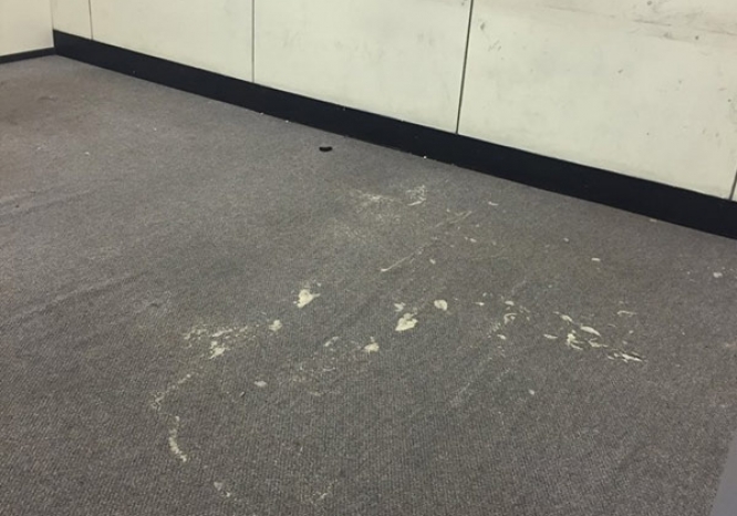 flood restoration melbourne